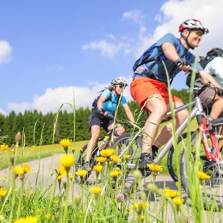 Πανδοχείο Gastehaus Ritschi 3*