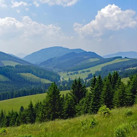 Gastehaus Ritschi Πανδοχείο Pernegg an der Mur