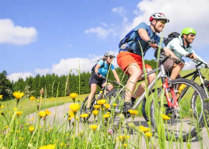 بيت ريفي Gastehaus Ritschi 3*